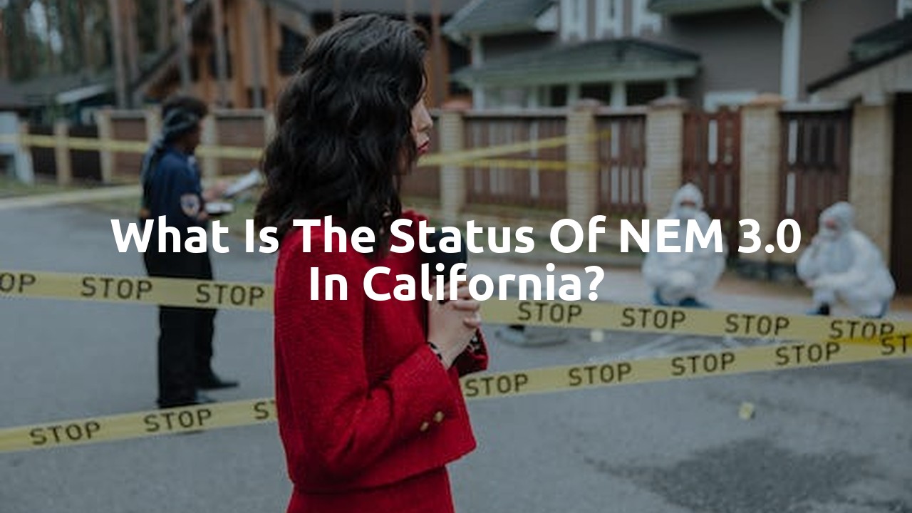 What is the status of NEM 3.0 in California?