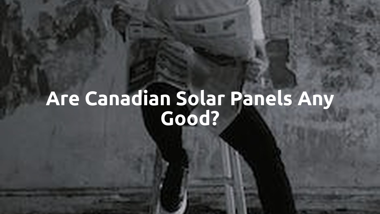 Are Canadian Solar panels any good?